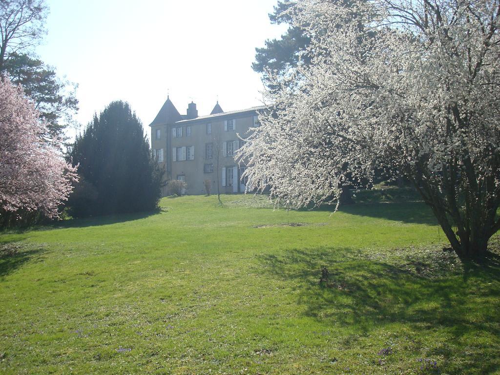Chateau De Bourrassol Bed and Breakfast Menetrol Exterior foto